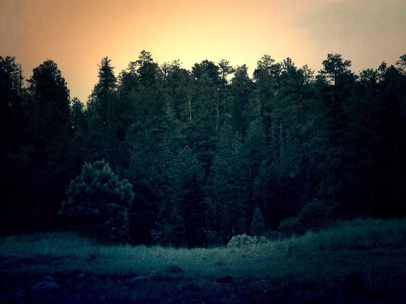 Quod ipsum